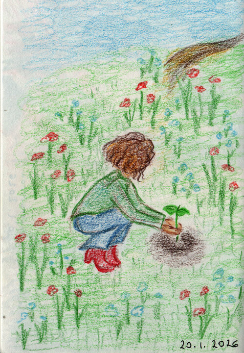 Gift from the Wise Person